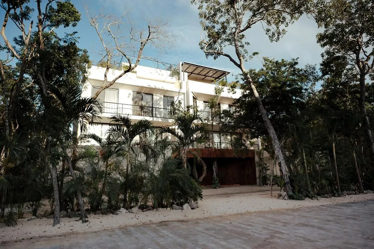 3 Bed Lux Penthouse Luum Zama Tulum Apartment