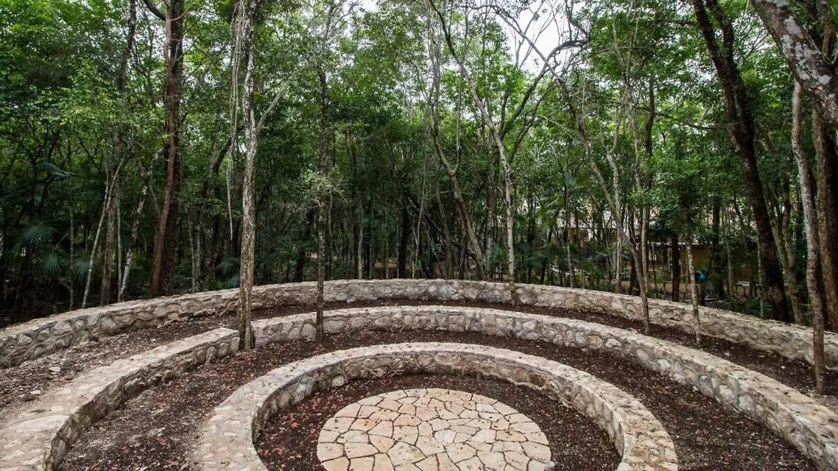 3 Bed Lux Penthouse Luum Zama Tulum Apartment Mexico